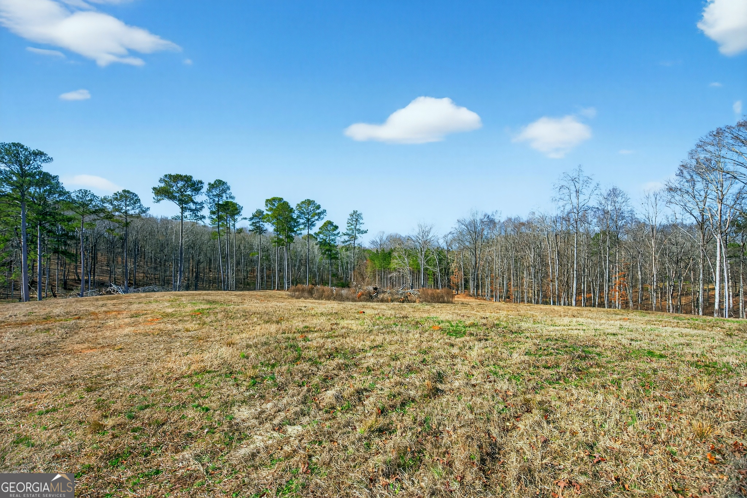 440 Kimbrough Road LaGrange, GA 30240 - Photo 71 of 88