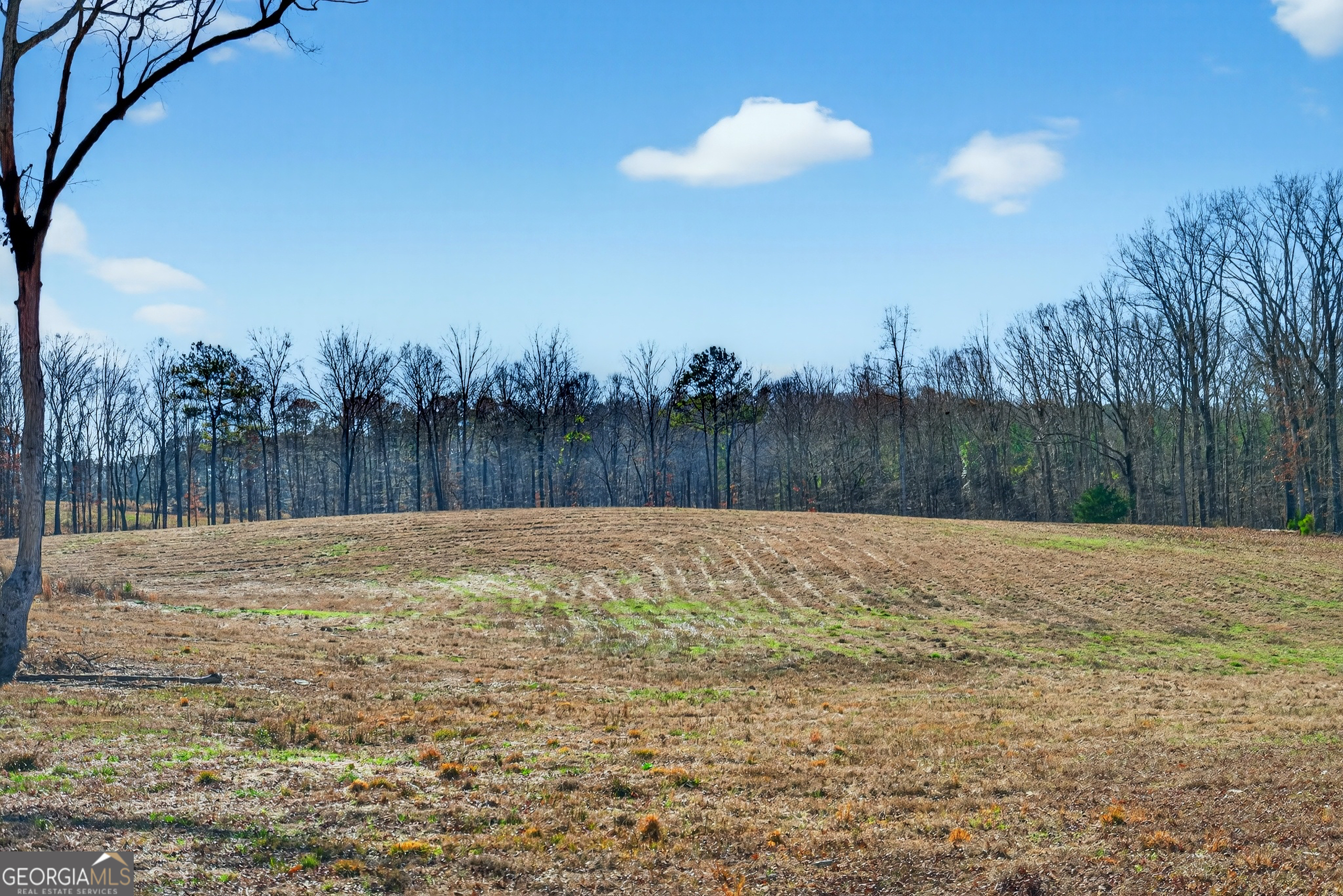 440 Kimbrough Road LaGrange, GA 30240 - Photo 73 of 88