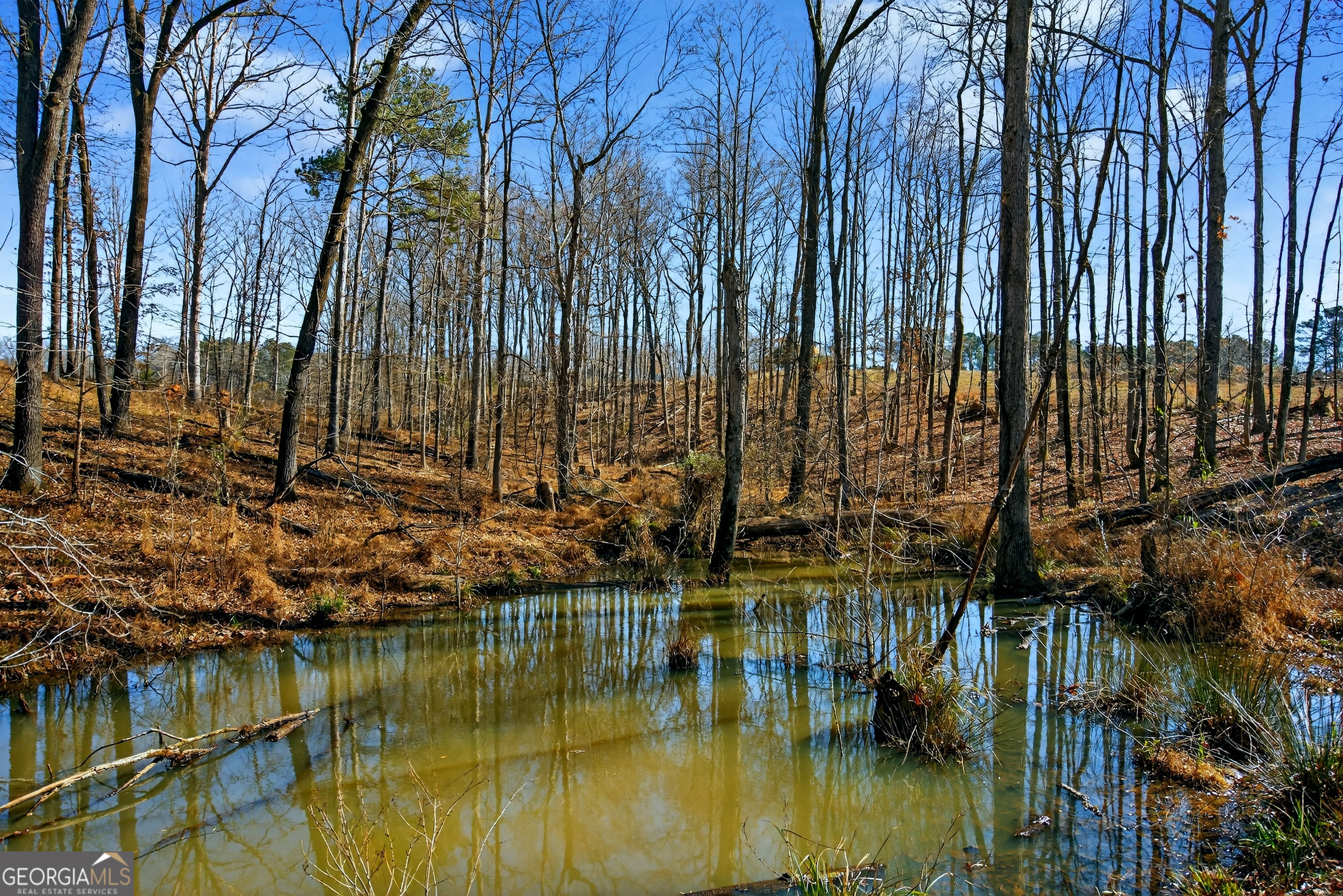 440 Kimbrough Road LaGrange, GA 30240 - Photo 83 of 88