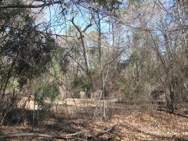 $108,000 | 2337 Tyler Tx 75707, Tyler, TX 75707