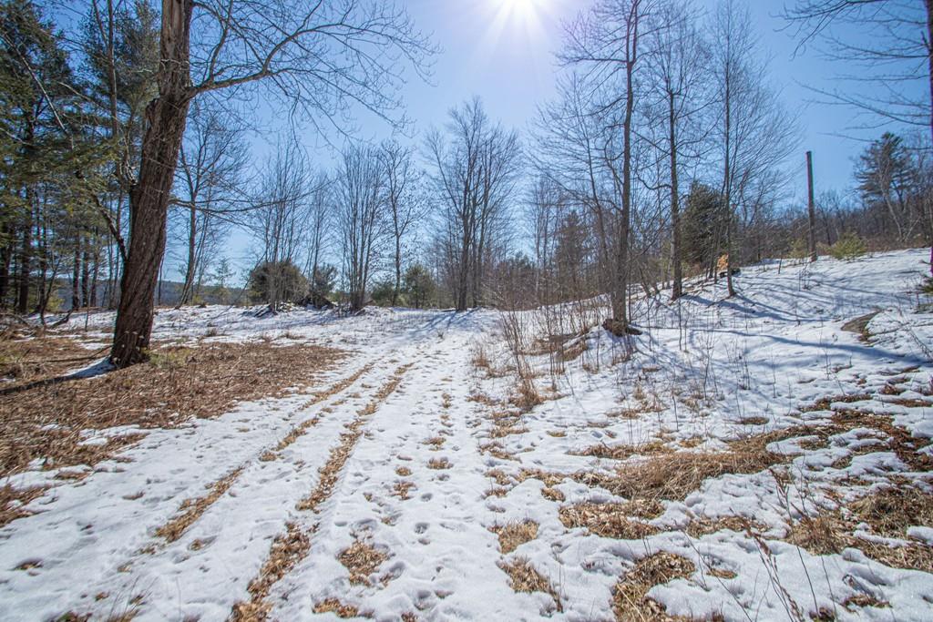 75 Cobb Hill Road Phillipston, MA 01331 - Photo 27 of 42 a backyard of a house with trees and covered with snow