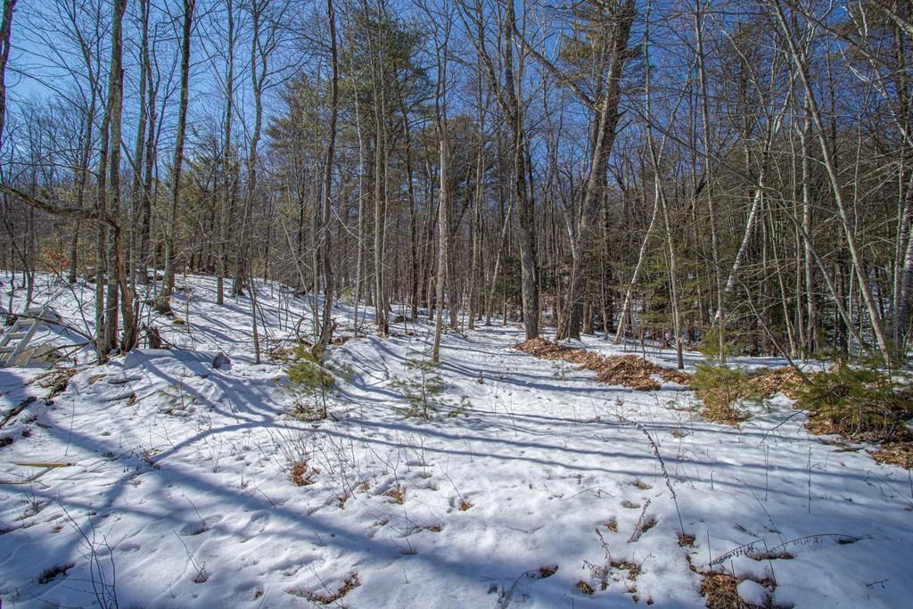 75 Cobb Hill Road Phillipston, MA 01331 - Photo 28 of 42 a view of a fire pit with large trees
