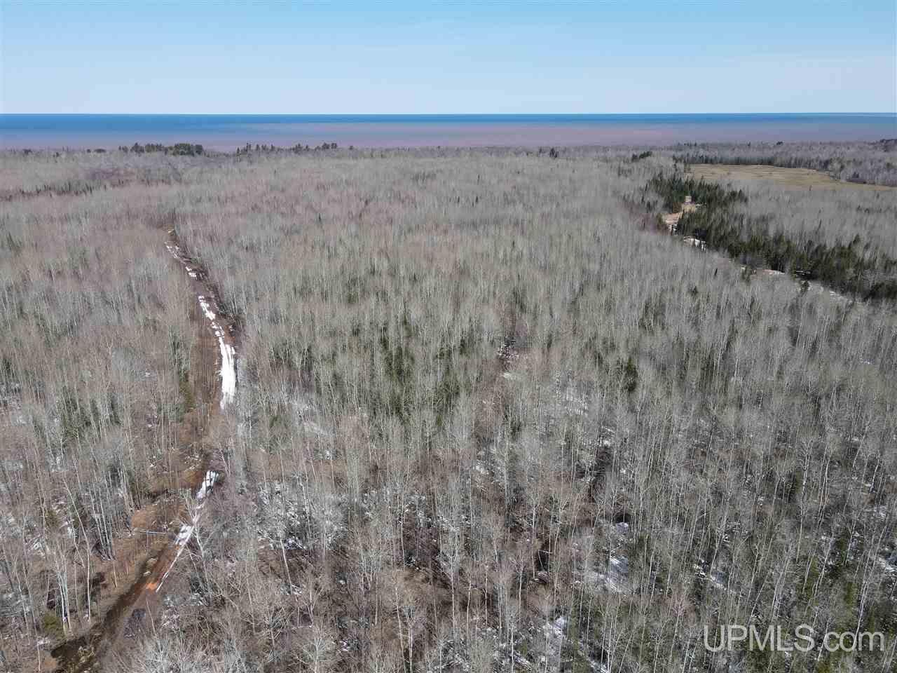 Tbd Bolo Road Marenisco, MI 49947 - Photo 7 of 14