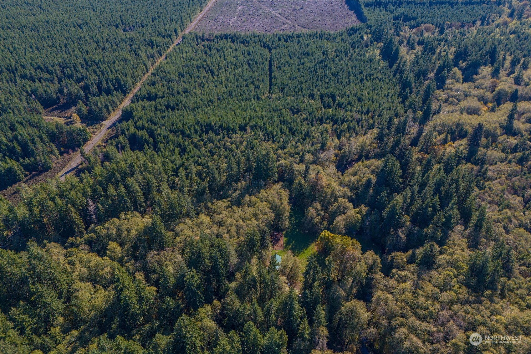 15 West Ford Road, Unit LOT 3 Matlock, WA 98560 - Photo 18 of 25 Gallery Image 18