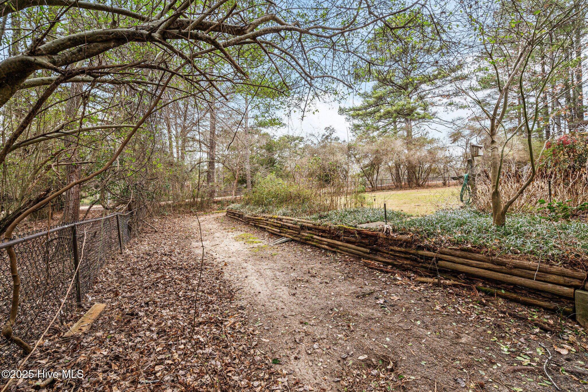 4094 Niagara Carthage Road Whispering Pines, NC 28327 - Photo 50 of 57 Left side of home looking into the backyard. Private.
