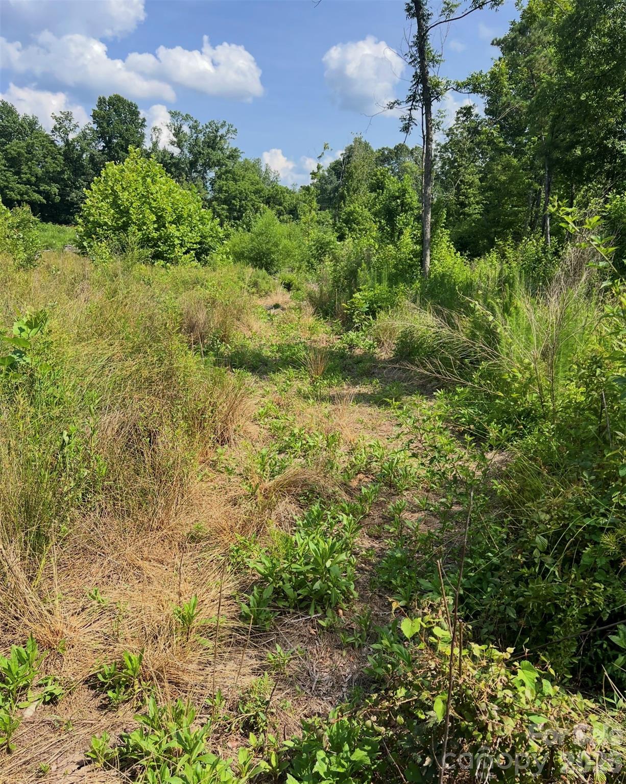 0 West Zion Church Road Shelby, NC 28150 - Photo 12 of 21 Gallery Image 12