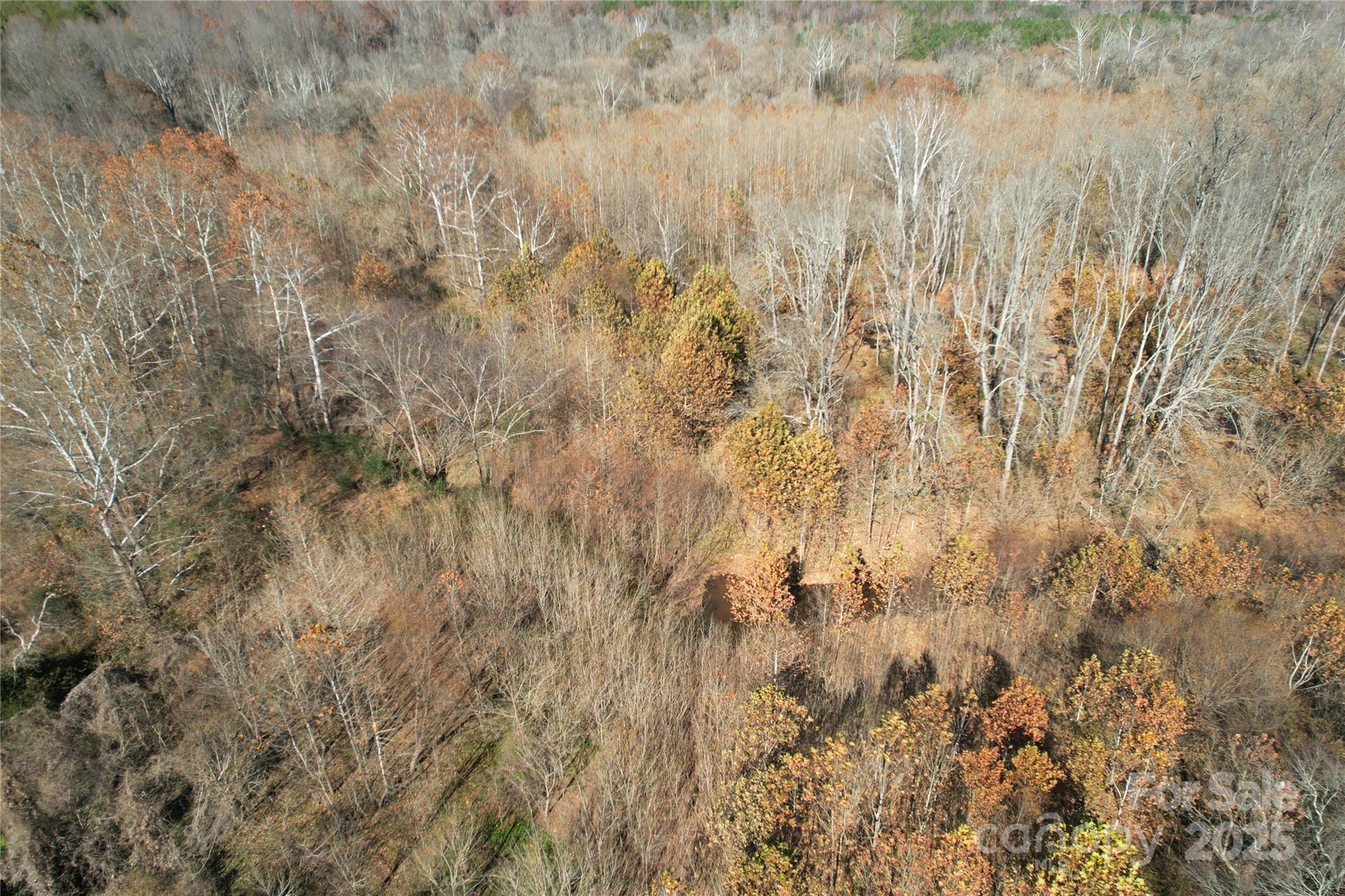 0 Mallard Drive Grover, NC 28073 - Photo 11 of 22 a view of a dry yard