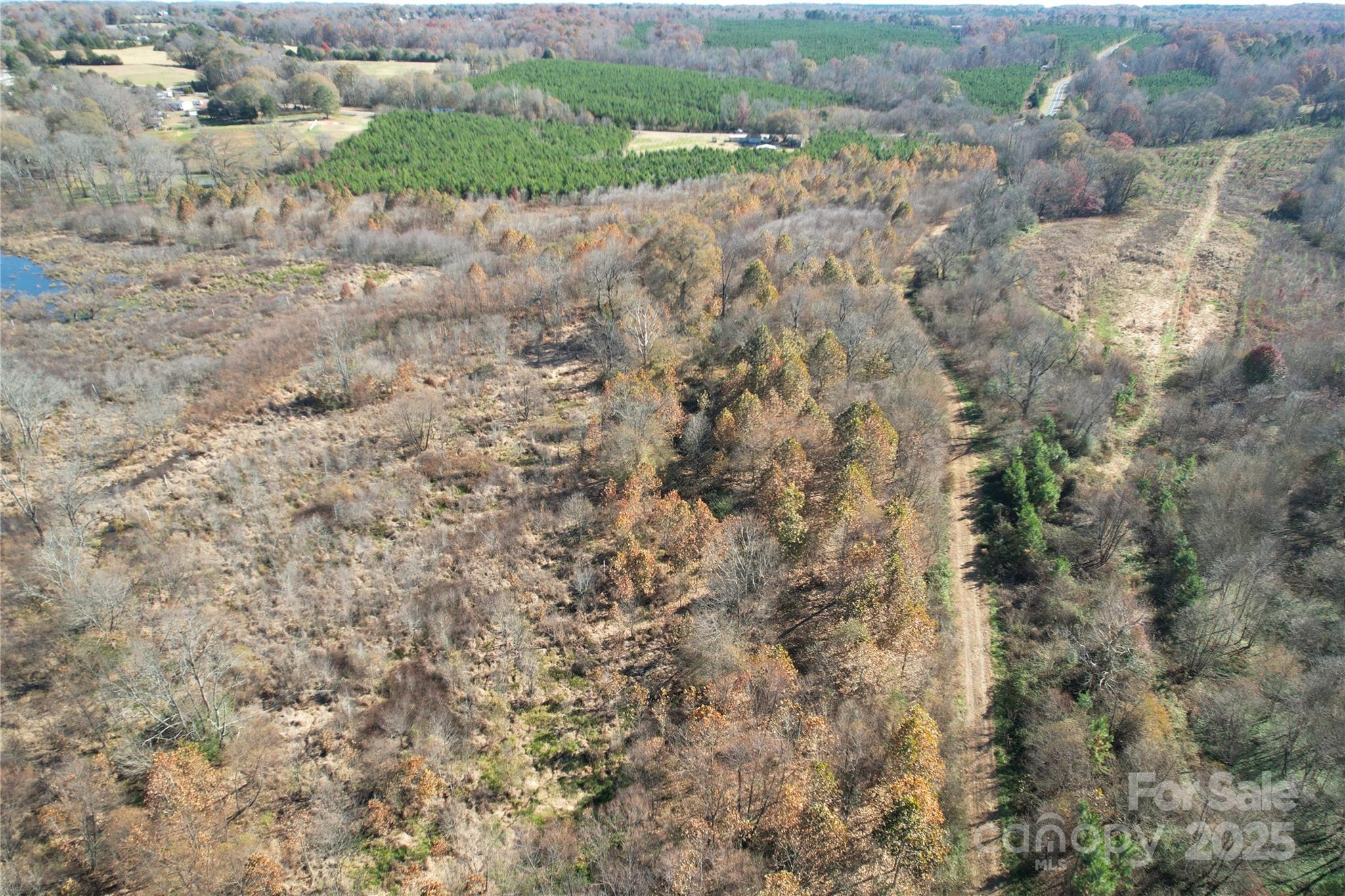 0 Mallard Drive Grover, NC 28073 - Photo 12 of 22 a view of a dry yard with lots of trees