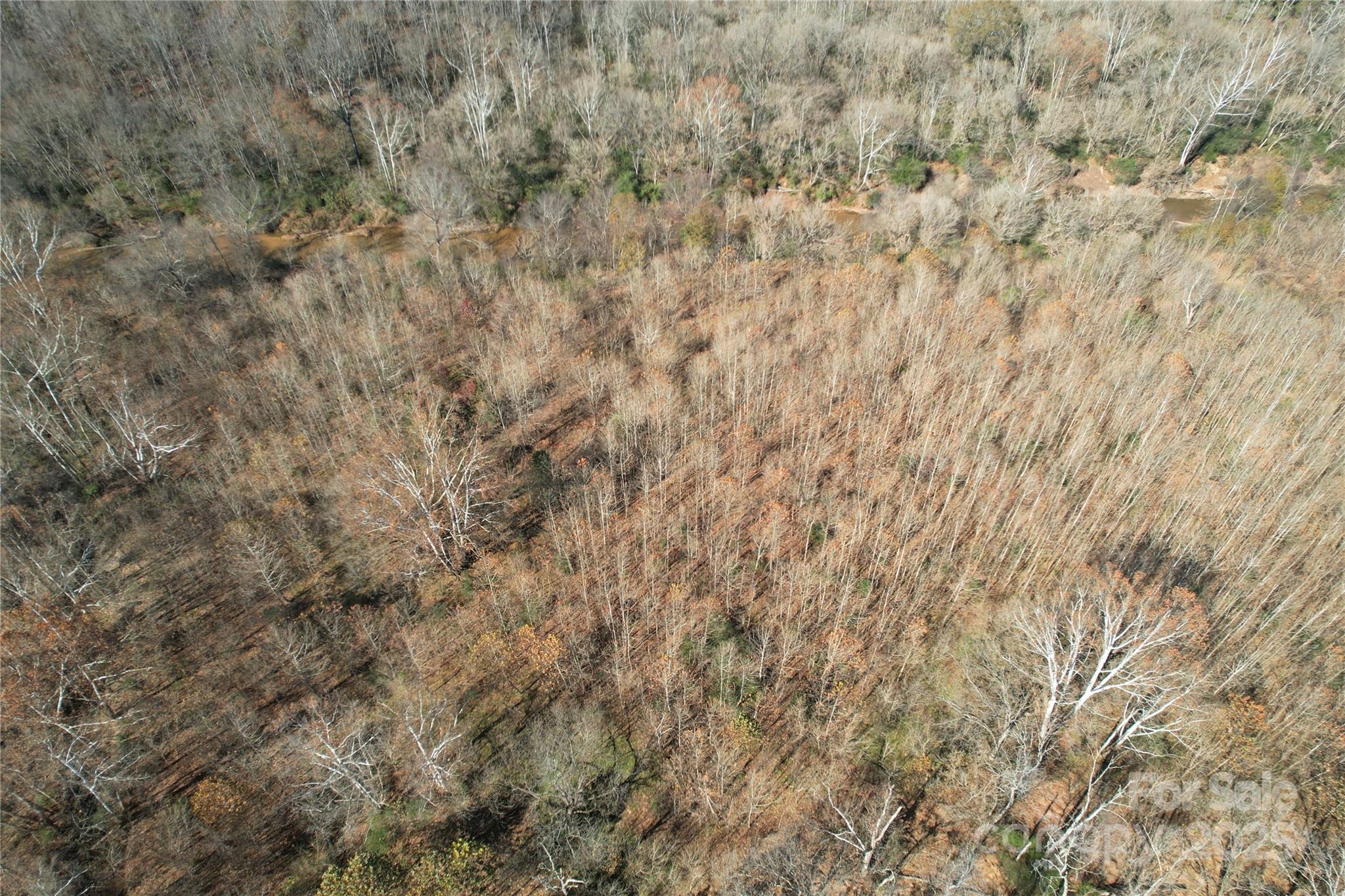 0 Mallard Drive Grover, NC 28073 - Photo 13 of 22 a close up of a wall with a dry yard