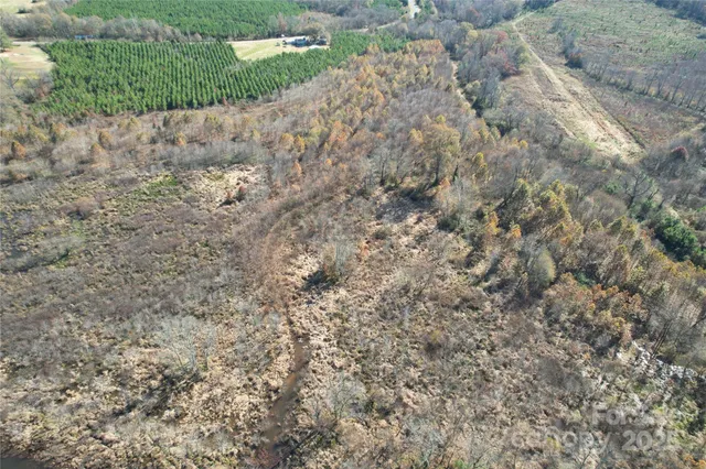 a view of a dry yard