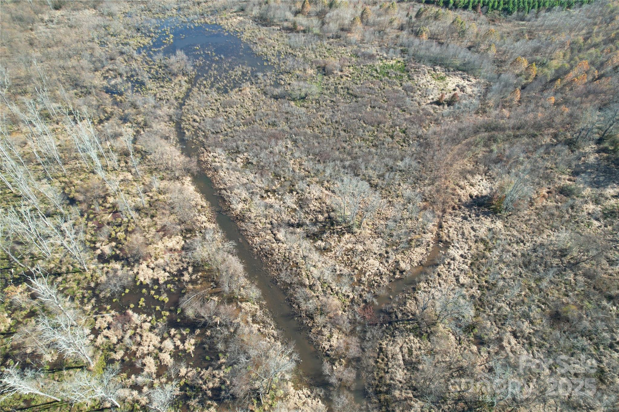 0 Mallard Drive Grover, NC 28073 - Photo 15 of 22 a close up of a field