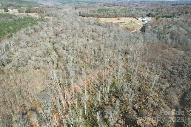 a view of a dry yard with trees all around