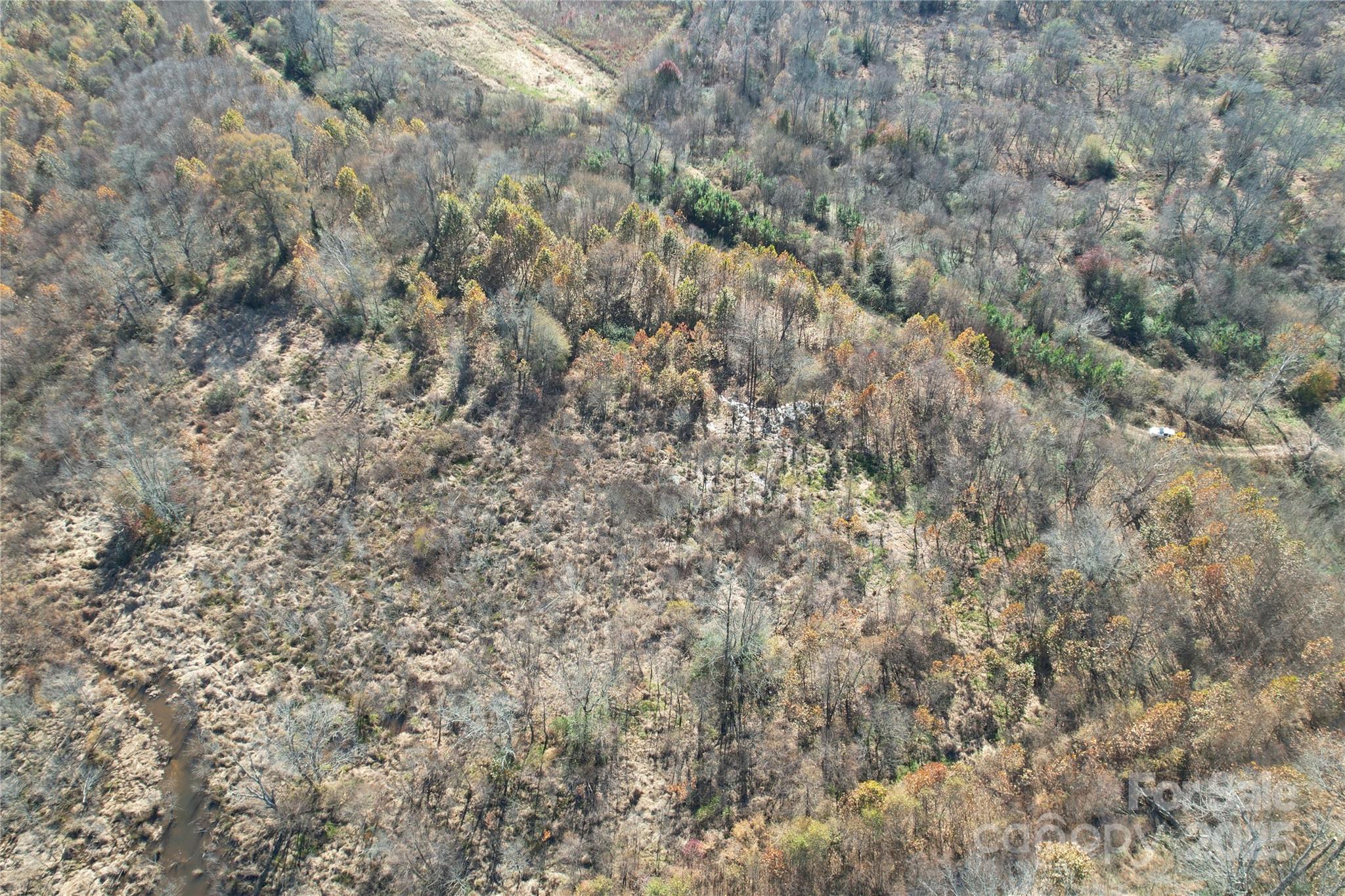 0 Mallard Drive Grover, NC 28073 - Photo 17 of 22 a view of a dry yard with green space