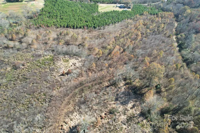 a view of a dry yard
