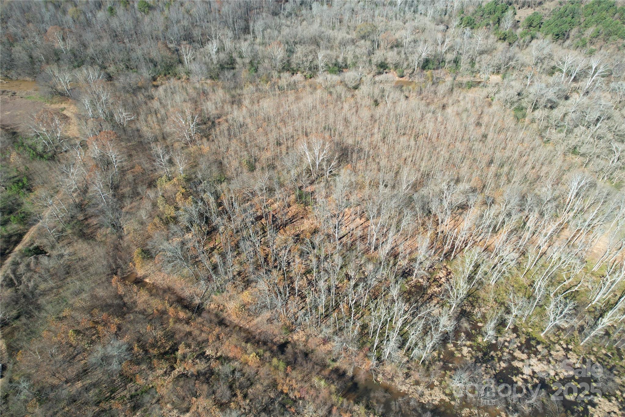0 Mallard Drive Grover, NC 28073 - Photo 20 of 22 a view of a dry yard