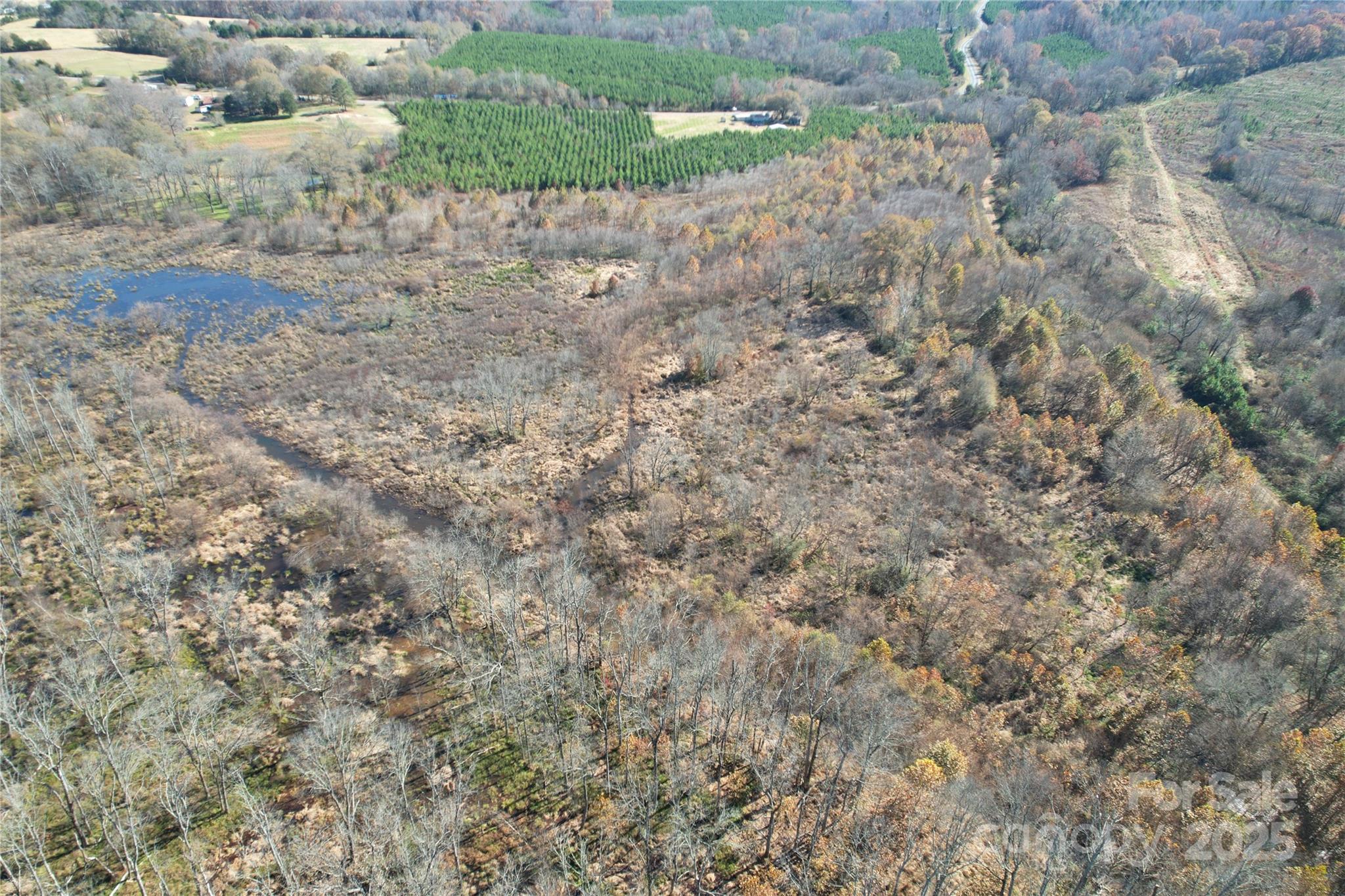 0 Mallard Drive Grover, NC 28073 - Photo 2 of 22 a view of a dry yard with wooden fence