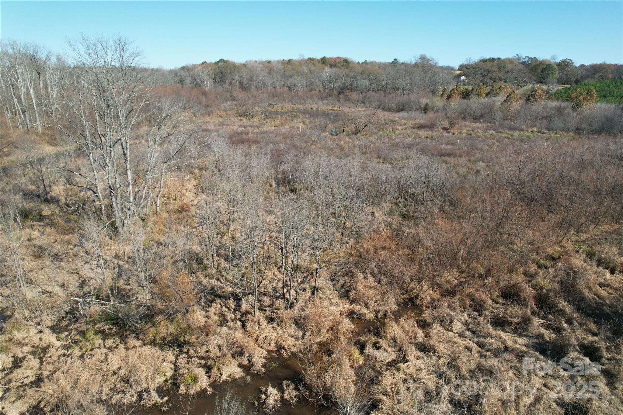 0 Mallard Drive Grover, NC 28073 - Photo 22 of 22 a view of a dry field