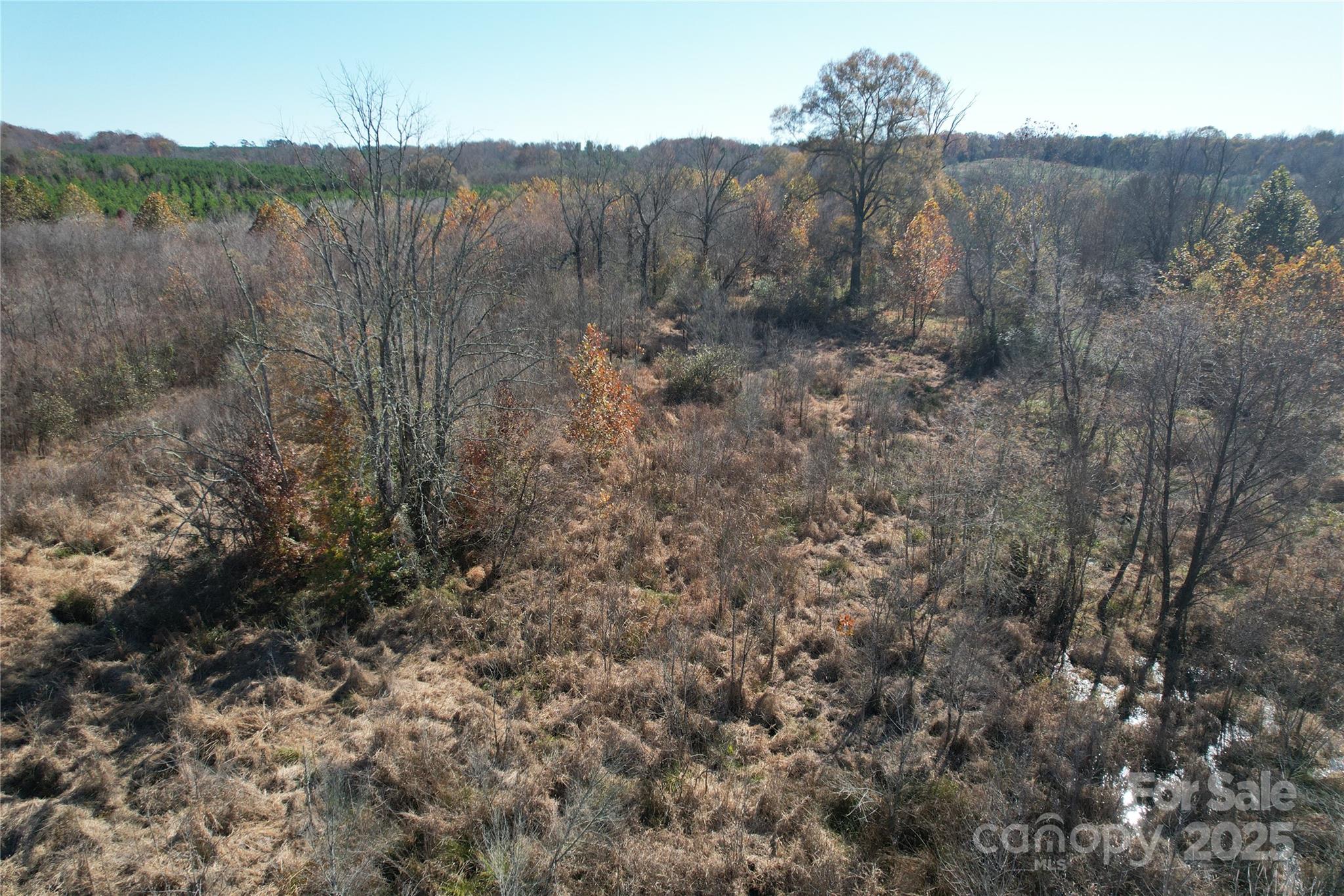 0 Mallard Drive Grover, NC 28073 - Photo 4 of 22 a view of a forest with a forest
