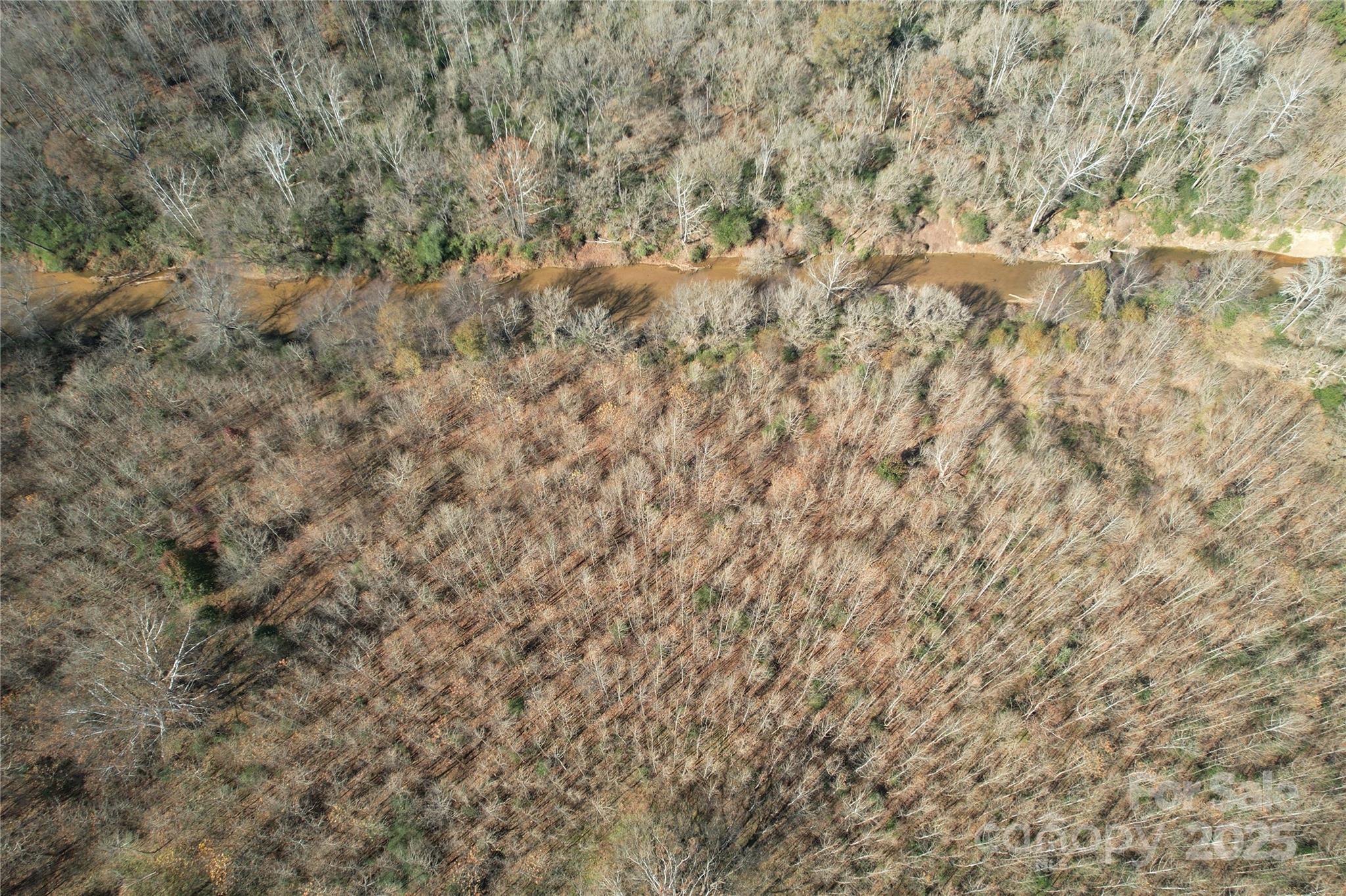 0 Mallard Drive Grover, NC 28073 - Photo 6 of 22