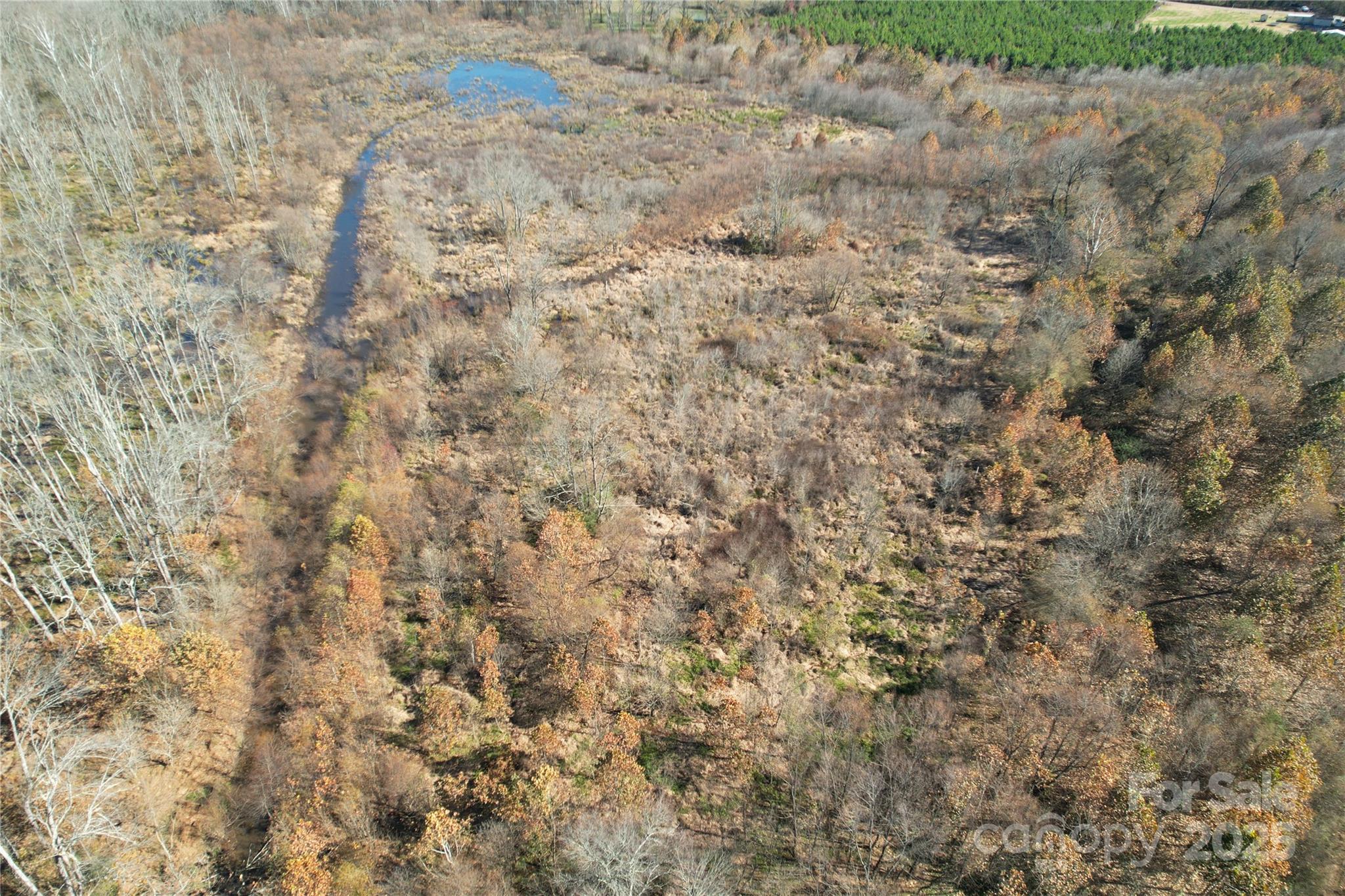 0 Mallard Drive Grover, NC 28073 - Photo 7 of 22