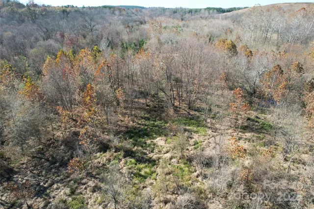 a view of a yard with trees
