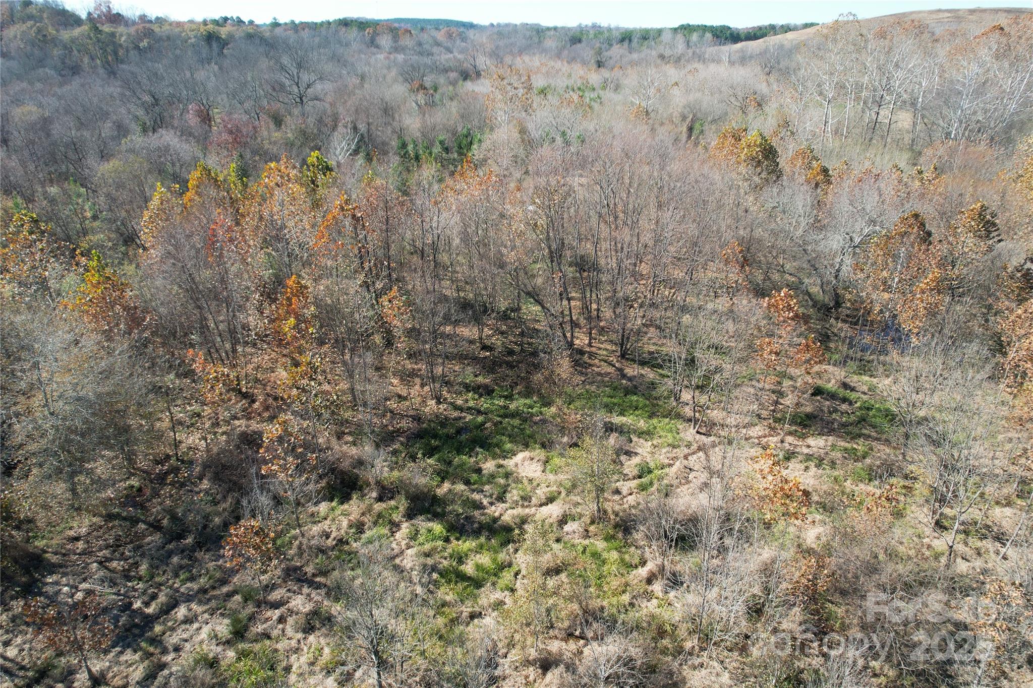 0 Mallard Drive Grover, NC 28073 - Photo 8 of 22 a view of a covered with large trees