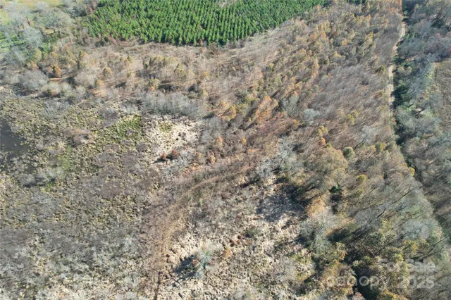 a view of a dry yard