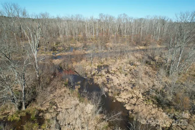 a view of a dry yard with lots of trees