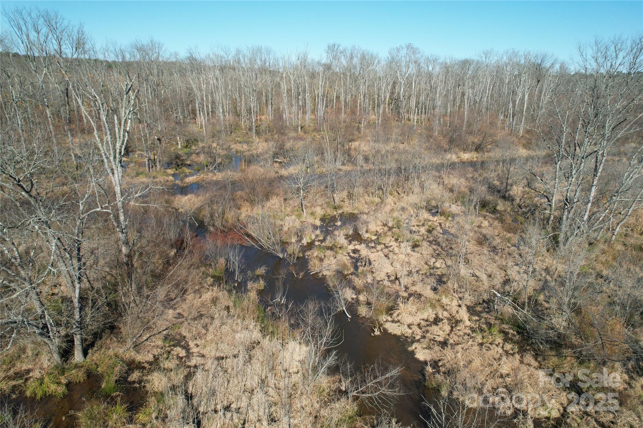 0 Mallard Drive Grover, NC 28073 - Photo 10 of 22 a view of a yard with trees