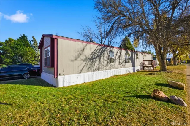 a view of backyard with tree