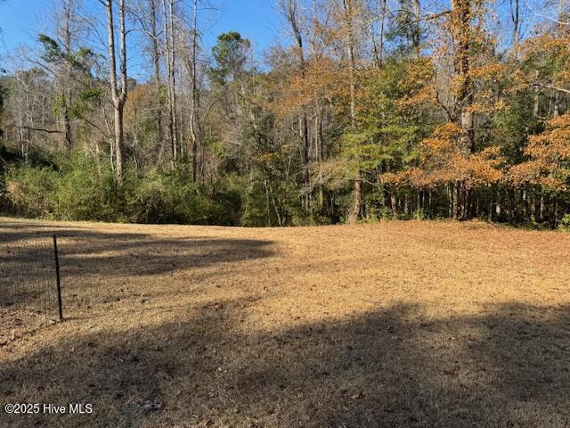 3501 Angus Drive Castle Hayne, NC 28429 - Photo 7 of 10 IMG_1900