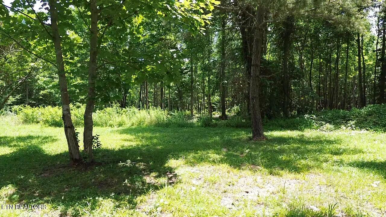 182 Nydeck Road Robbins, TN 37852 - Photo 2 of 23 2026-06-29-14-02-54-847