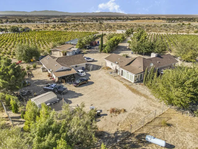 a view of city with ocean