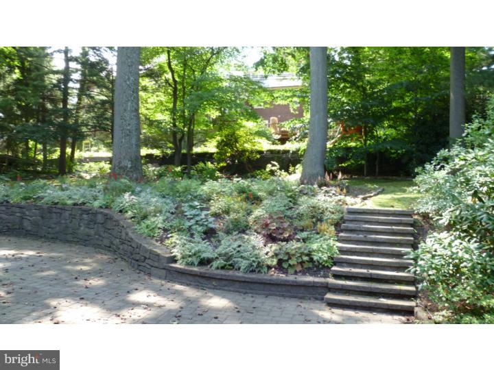 1059 Lemar Circle Merion Station, PA 19066 - Photo 17 of 21 Back Yard