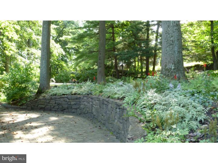 1059 Lemar Circle Merion Station, PA 19066 - Photo 18 of 21 Back Yard