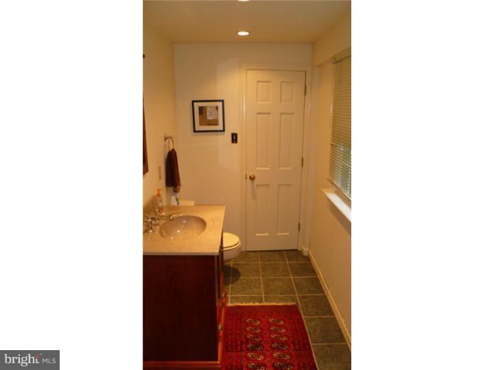 1059 Lemar Circle Merion Station, PA 19066 - Photo 9 of 21 Bathroom
