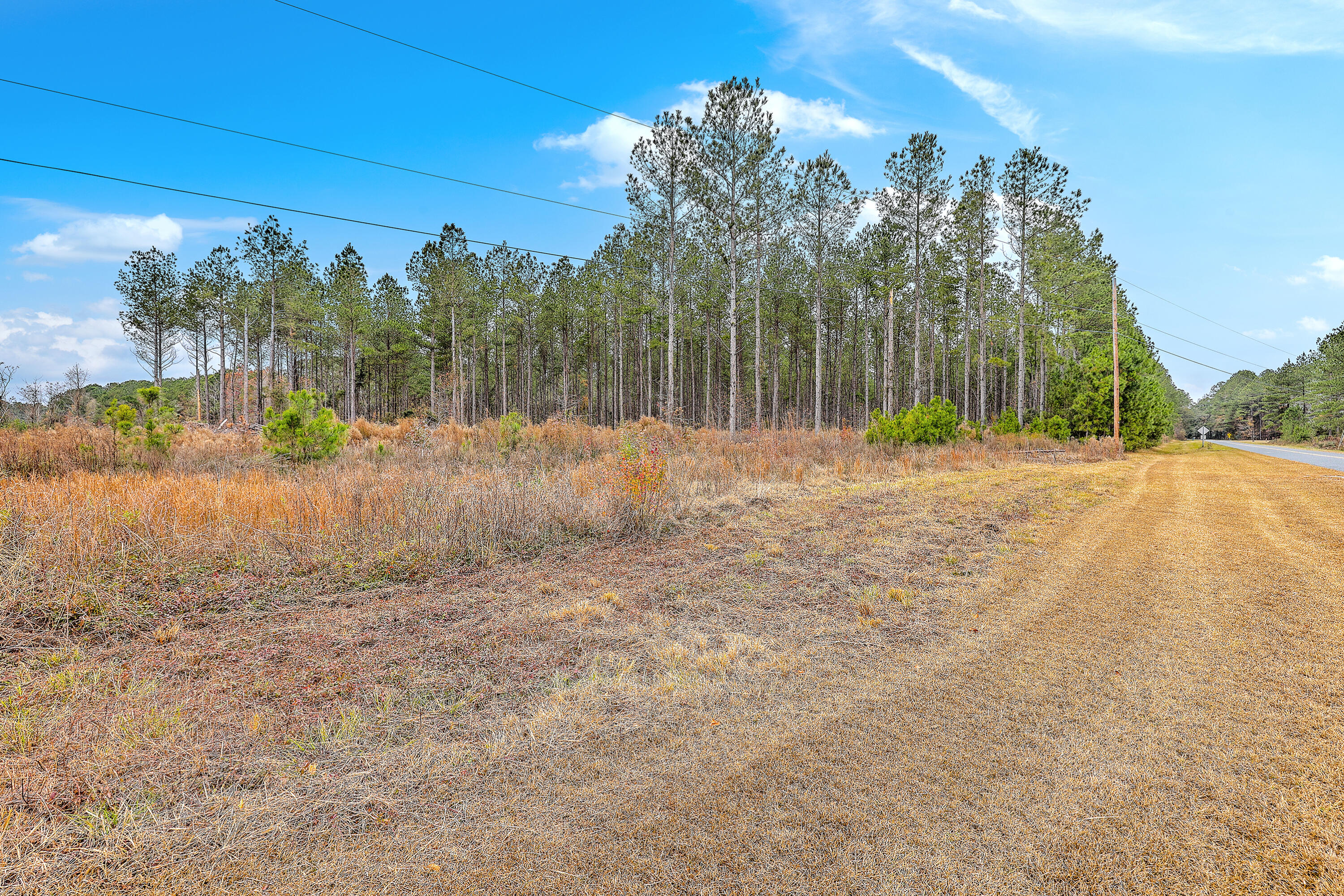 0 Shuler Belt Road Holly Hill, SC 29059 - Photo 5 of 25 00 Shuler Belt Rd