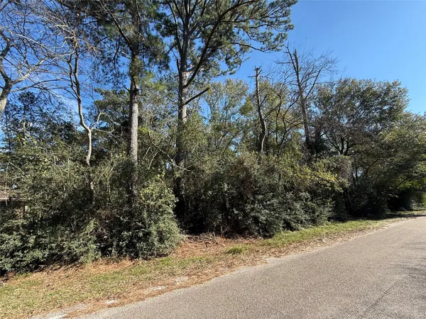 a view of outdoor space and trees