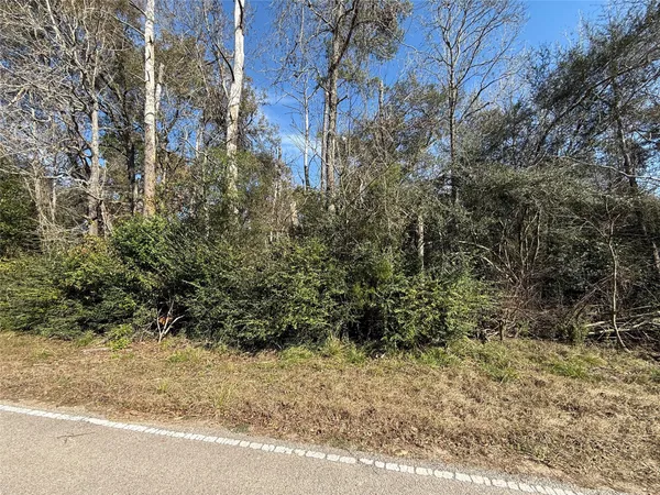 a view of a yard with large trees