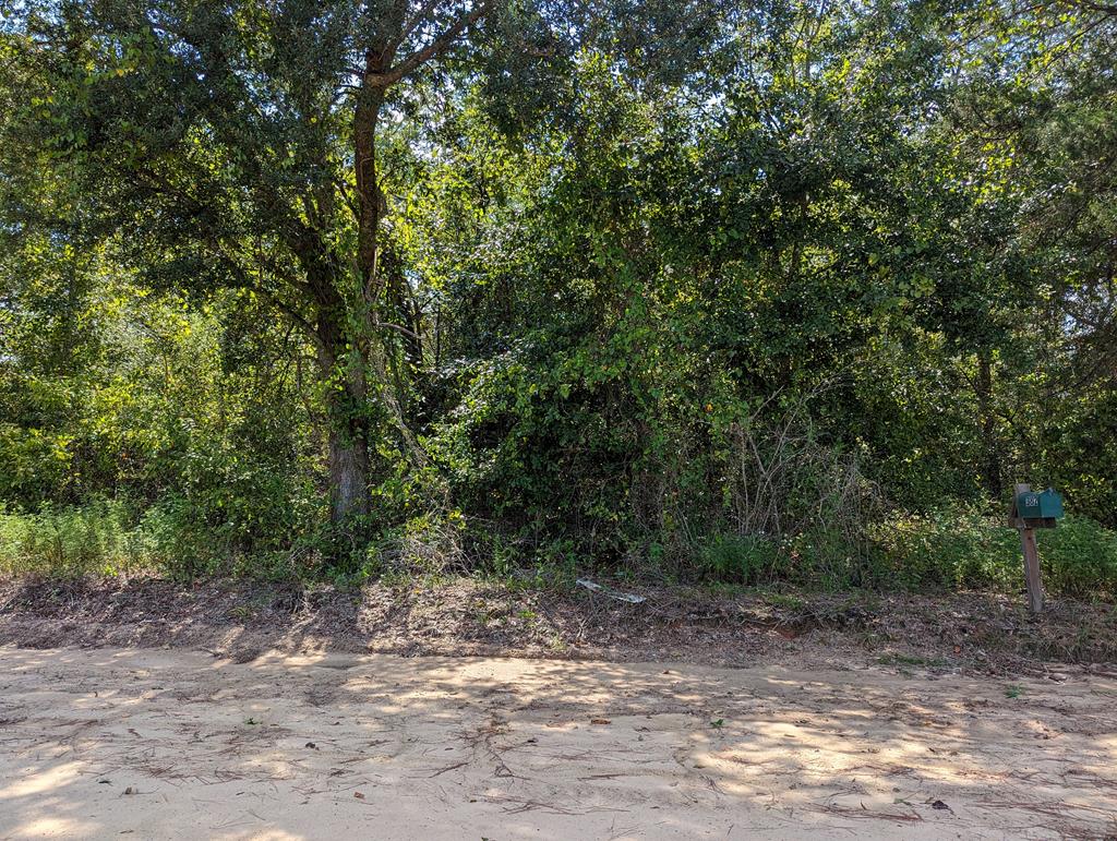 382 Friendship Road Gordon, AL 36343 - Photo 1 of 9
