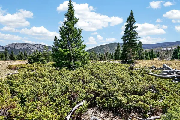 $65,000 | Tbd Panadero Loop, La Veta, CO 81055