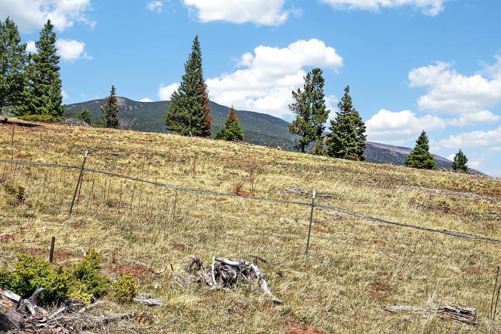 Tbd Panadero Loop La Veta, CO 81055 - Photo 15 of 21