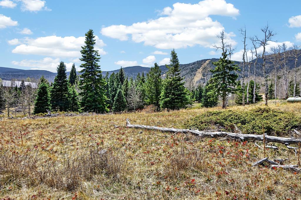 Tbd Panadero Loop La Veta, CO 81055 - Photo 4 of 21