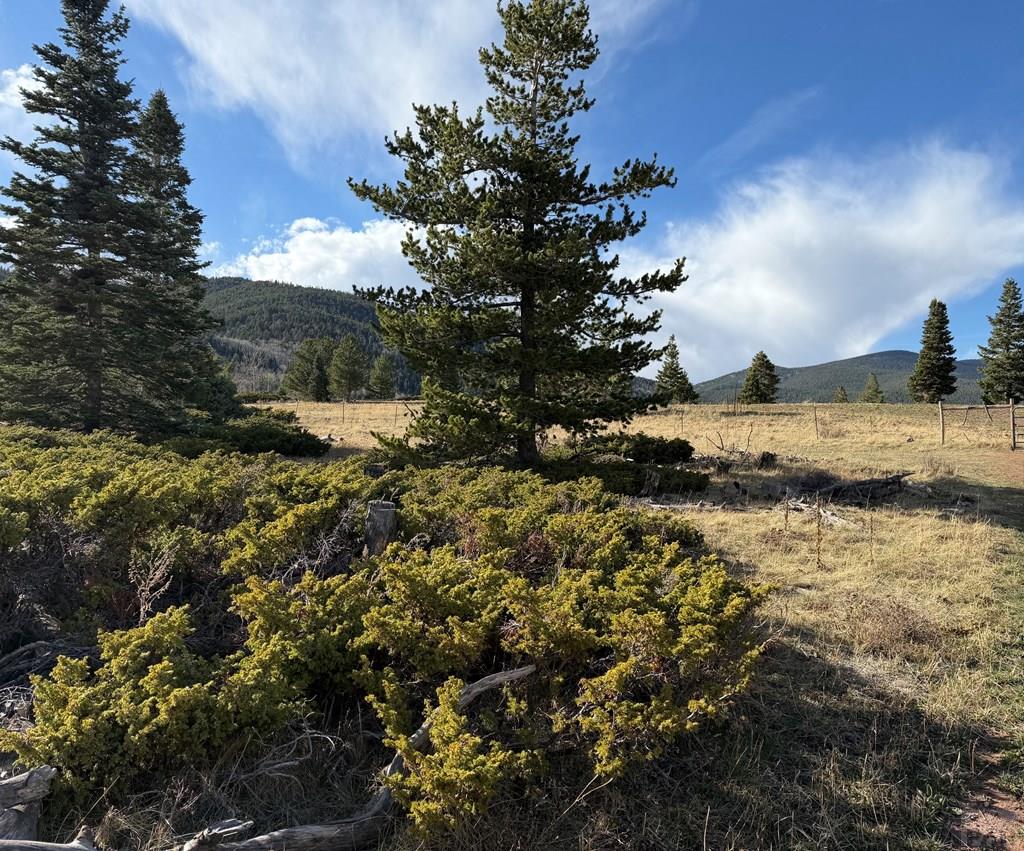 Tbd Panadero Loop La Veta, CO 81055 - Photo 5 of 21