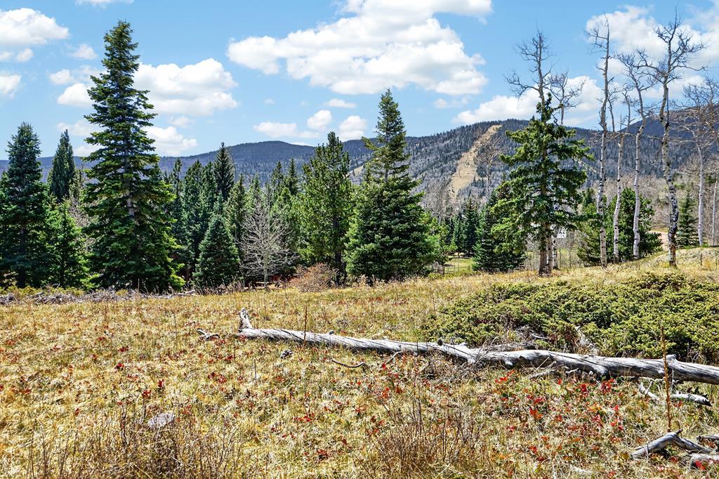 Tbd Panadero Loop La Veta, CO 81055 - Photo 9 of 21
