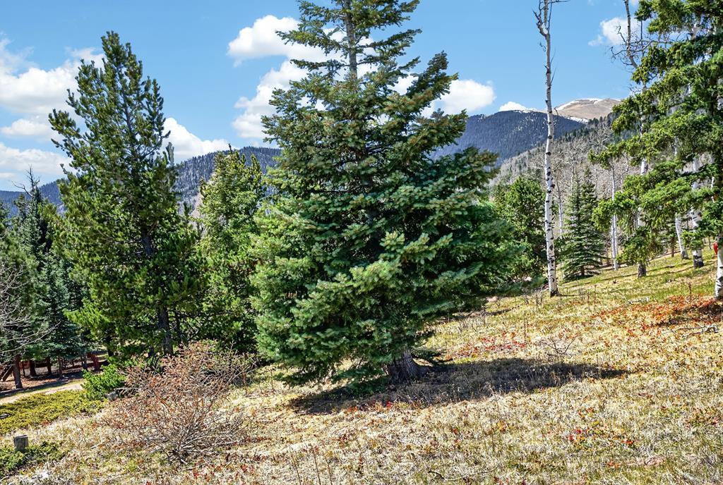 Tbd Panadero Loop La Veta, CO 81055 - Photo 10 of 21