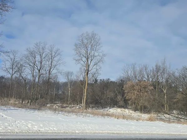$43,000 | South Pine River Street, Ithaca, MI 48847