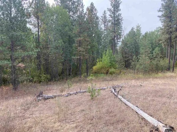 $189,000 | Tbd Tbd Lorna Lane, Unit LOTS I & J, Cheney, WA 99004