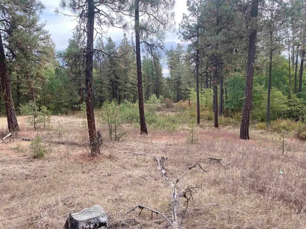 $189,000 | Tbd Tbd Lorna Lane, Unit LOTS I & J, Cheney, WA 99004