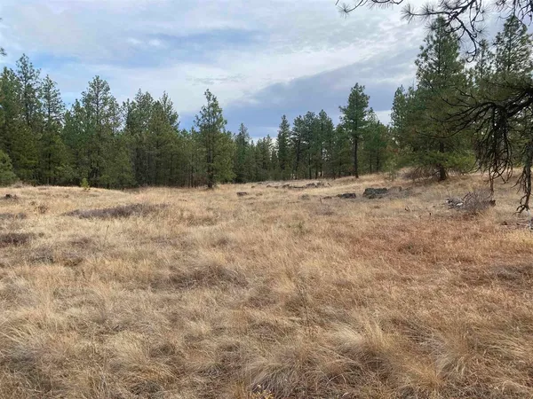 $189,000 | Tbd Tbd Lorna Lane, Unit LOTS I & J, Cheney, WA 99004